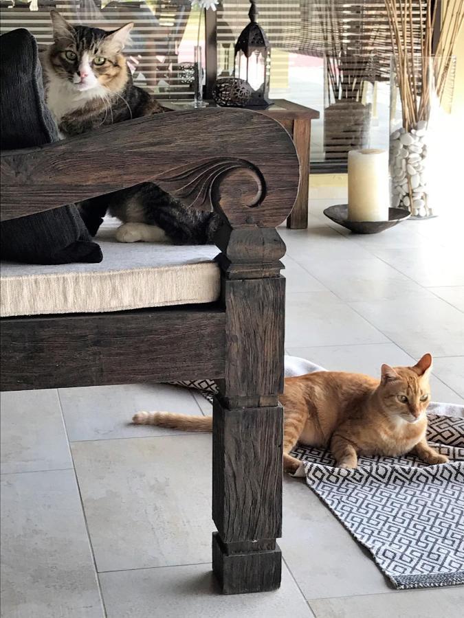 Villa Kelapa Langkawi Kuah Εξωτερικό φωτογραφία
